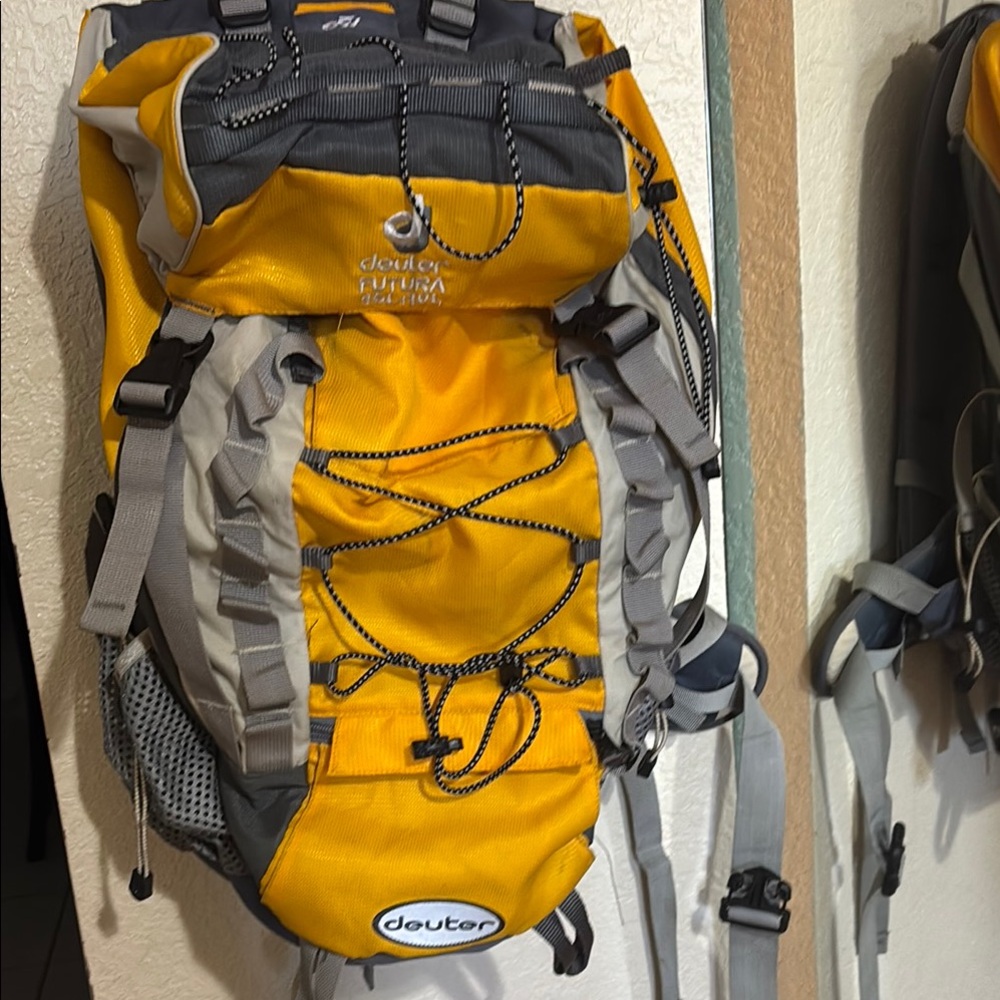 deuter Yellow and Gray Men's Backpack